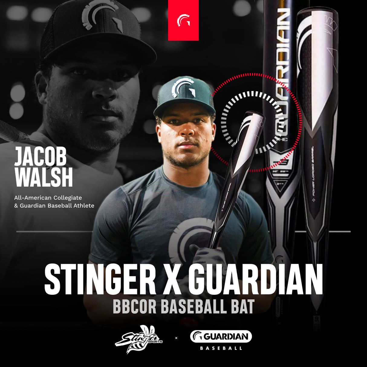 Guardian Baseball-Baseball Bats-Guardian Baseball