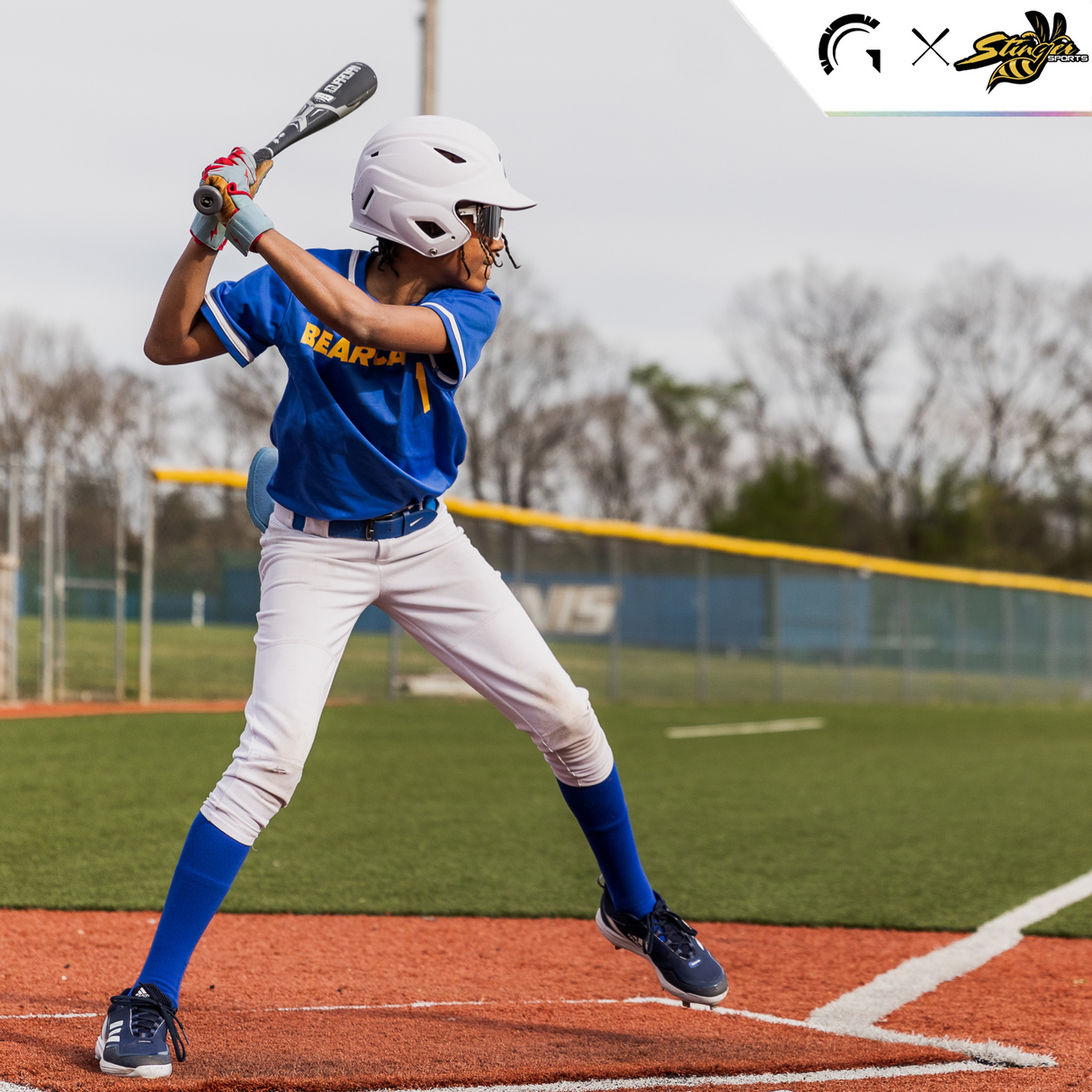 Guardian Baseball-Baseball Bats-Guardian Baseball