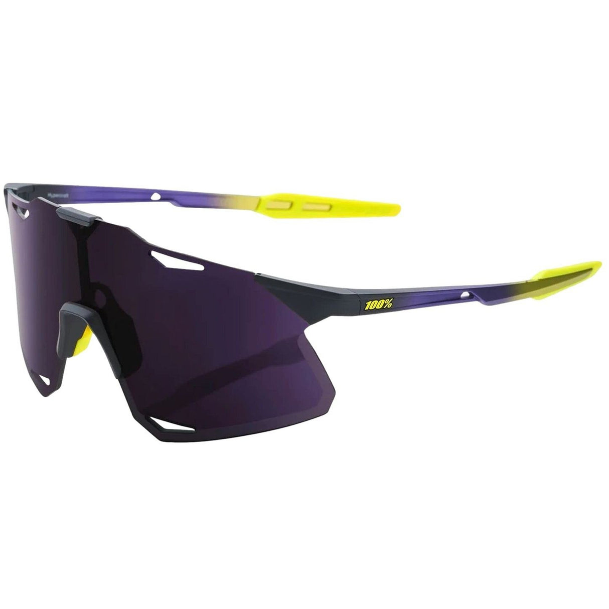 100%-Sunglasses-Guardian Baseball