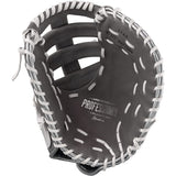 Easton-Softball Gloves-Guardian Baseball