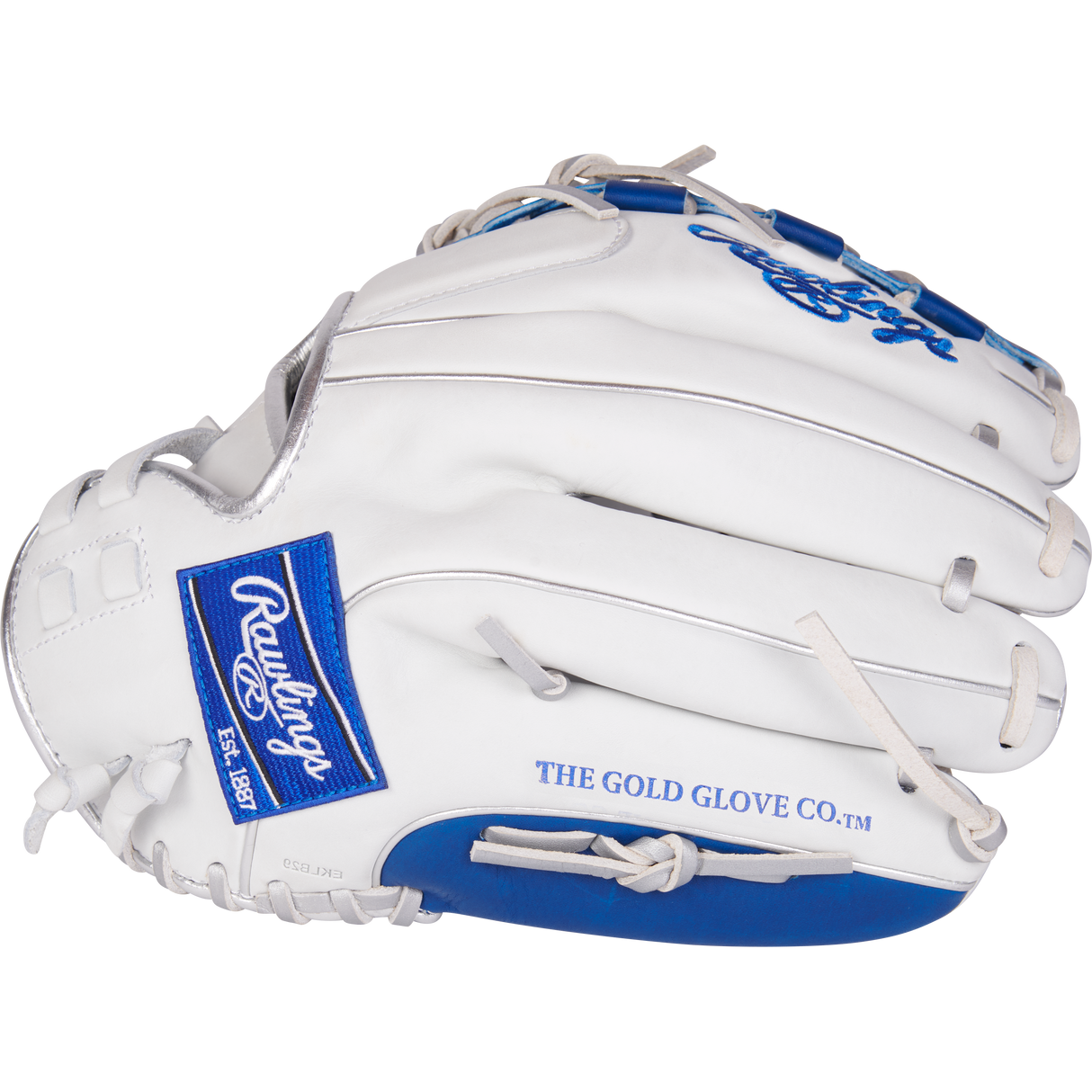 Rawlings-Fastpitch Glove-Guardian Baseball