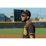 100%-Sunglasses-Guardian Baseball