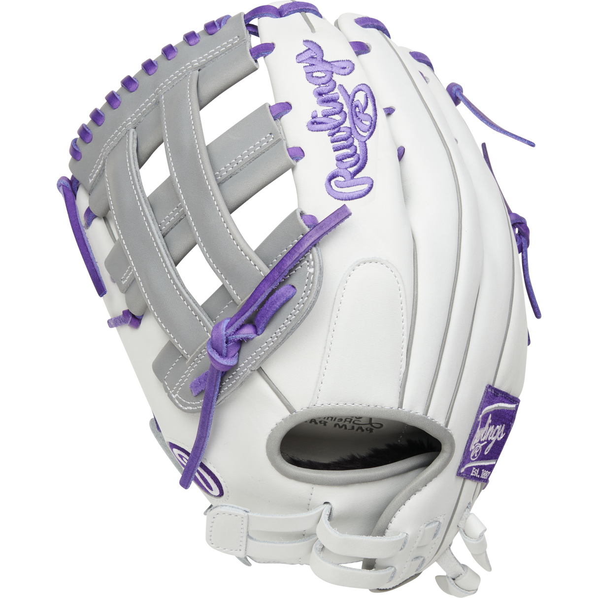 Rawlings-Fastpitch Glove-Guardian Baseball